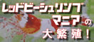 「レッドビーシュリンプマニアの大繁殖！」