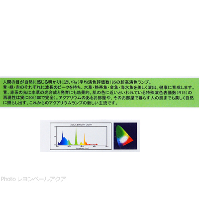 専用交換球 T5/39W 白球 1本 詳細