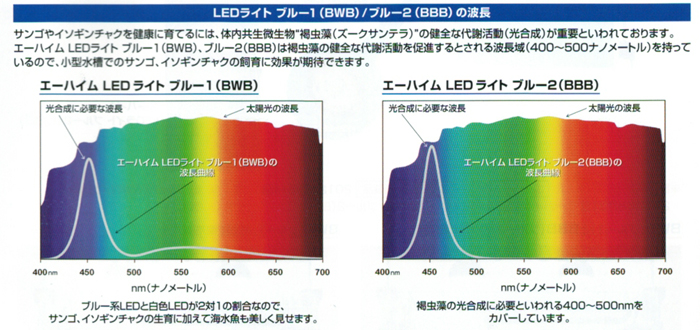 エーハイム LEDライト ブルー1/ブルー2の波長