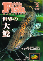 フィッシュマガジン 2007年3月号