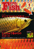 フィッシュマガジン 2008年1月