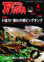 フィッシュマガジン 2008年4月