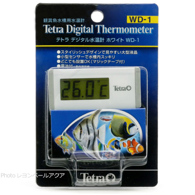 デジタル水温計 ホワイトWD-1